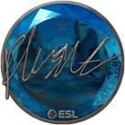 Sticker | flusha (Foil) | Katowice 2019 image