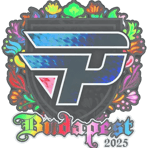 Sticker | paiN Gaming (Holo) | Budapest 2025
