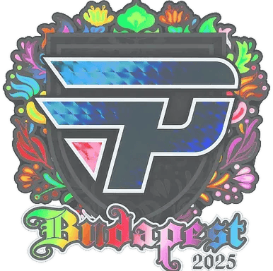 印花 | paiN Gaming(全息)| 2025年布达佩斯锦标赛