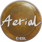 Sticker | Aerial | Katowice 2019 image