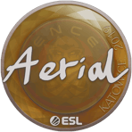 Sticker | Aerial | Katowice 2019