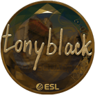 Sticker | tonyblack (Gold) | Katowice 2019 image