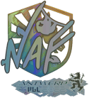 Sticker | NAF (Holo) | Antwerp 2022 image