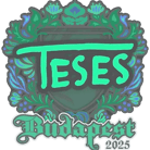Sticker | TeSeS | Budapest 2025 Sticker | TeSeS | Budapest 2025 image