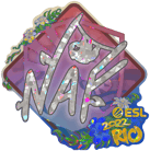 Sticker | NAF (Glitter) | Rio 2022 image