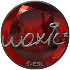 Sticker | woxic (Foil) | Katowice 2019 image