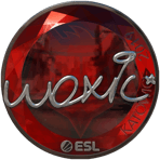Sticker | woxic (Foil) | Katowice 2019