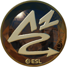 Sticker | ANGE1 (Gold) | Katowice 2019 image