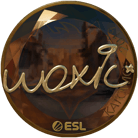 Sticker | woxic (Gold) | Katowice 2019 image