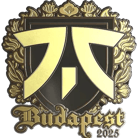 Sticker | fnatic (Gold) | Budapest 2025 image