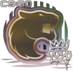 Sticker | FURIA | 2020 RMR