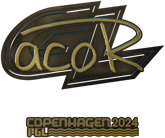 Sticker | acoR (Gold) | Copenhagen 2024 image