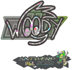Sticker | WOOD7 (Glitter) | Antwerp 2022 image