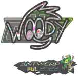 Sticker | WOOD7 (Glitter) | Antwerp 2022