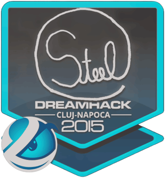 Sticker | steel | Cluj-Napoca 2015