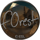 Sticker | f0rest (Foil) | Katowice 2019 image