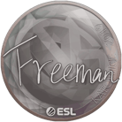 Sticker | Freeman | Katowice 2019 image
