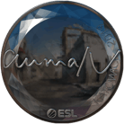 Sticker | aumaN (Foil) | Katowice 2019 image