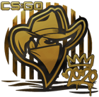 Sticker | Renegades (Gold) | 2020 RMR image