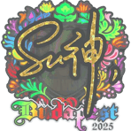 Sticker | C4LLM3SU3 (Holo) | Budapest 2025