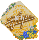 Sticker | SunPayus | Rio 2022 image