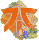 Sticker | Fnatic (Holo) | Rio 2022 Sticker | Fnatic (Holo) | Rio 2022 image