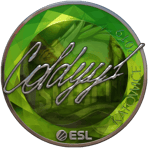 Sticker | COLDYY1 (Foil) | Katowice 2019