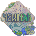 Sticker | YEKINDAR (Holo) | Rio 2022