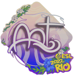 Sticker | arT | Rio 2022