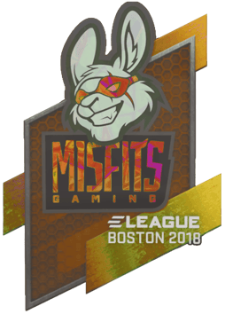Sticker | Misfits Gaming（彩光）| Boston 2018