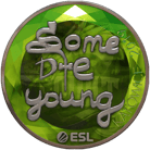 Sticker | sdy (Foil) | Katowice 2019 image