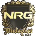 Sticker | NRG (Gold) | Budapest 2025 image