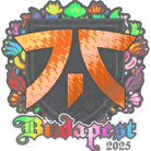 Sticker | fnatic (Holo) | Budapest 2025 image