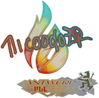 Sticker | nicoodoz (Holo) | Antwerp 2022 image