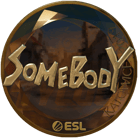 Sticker | somebody (Gold) | Katowice 2019 image