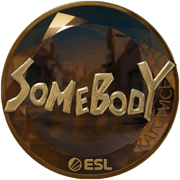Sticker | somebody (Gold) | Katowice 2019