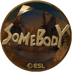 Sticker | somebody (Gold) | Katowice 2019
