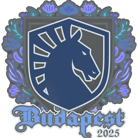 Sticker | Team Liquid | Budapest 2025 Sticker | Team Liquid | Budapest 2025 image