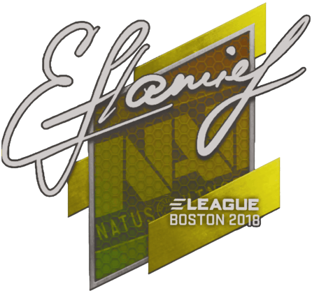 Sticker | flamie | Boston 2018