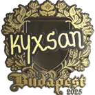 Sticker | kyxsan (Gold) | Budapest 2025 Sticker | kyxsan (Gold) | Budapest 2025 image