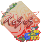 Sticker | TeSeS | Rio 2022 image