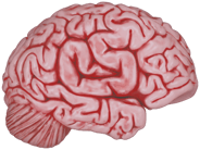 Sticker | CS On The Mind image