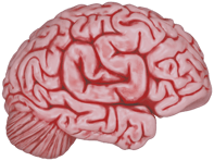 Sticker | CS On The Mind