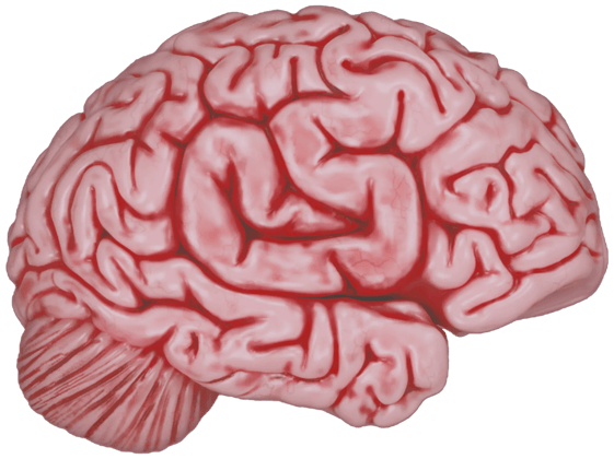 Sticker | CS On The Mind