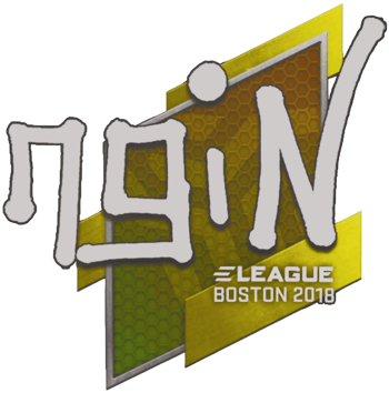Sticker | ngiN | Boston 2018