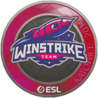Sticker | Winstrike Team | Katowice 2019 image