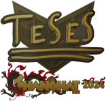 Sticker | TeSeS (Gold) | Shanghai 2024