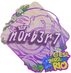 Sticker | n0rb3r7 | Rio 2022