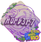 Sticker | n0rb3r7 | Rio 2022 Sticker | n0rb3r7 | Rio 2022 image