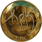 Sticker | RpK (Gold) | Katowice 2019 image